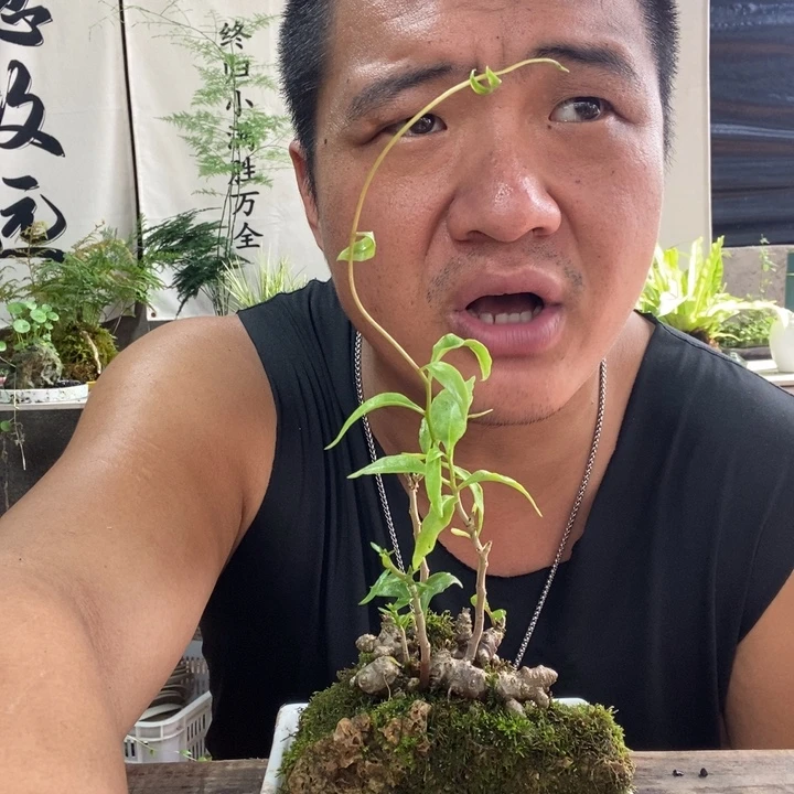 等***-无花朵退款拉黑拉黑103