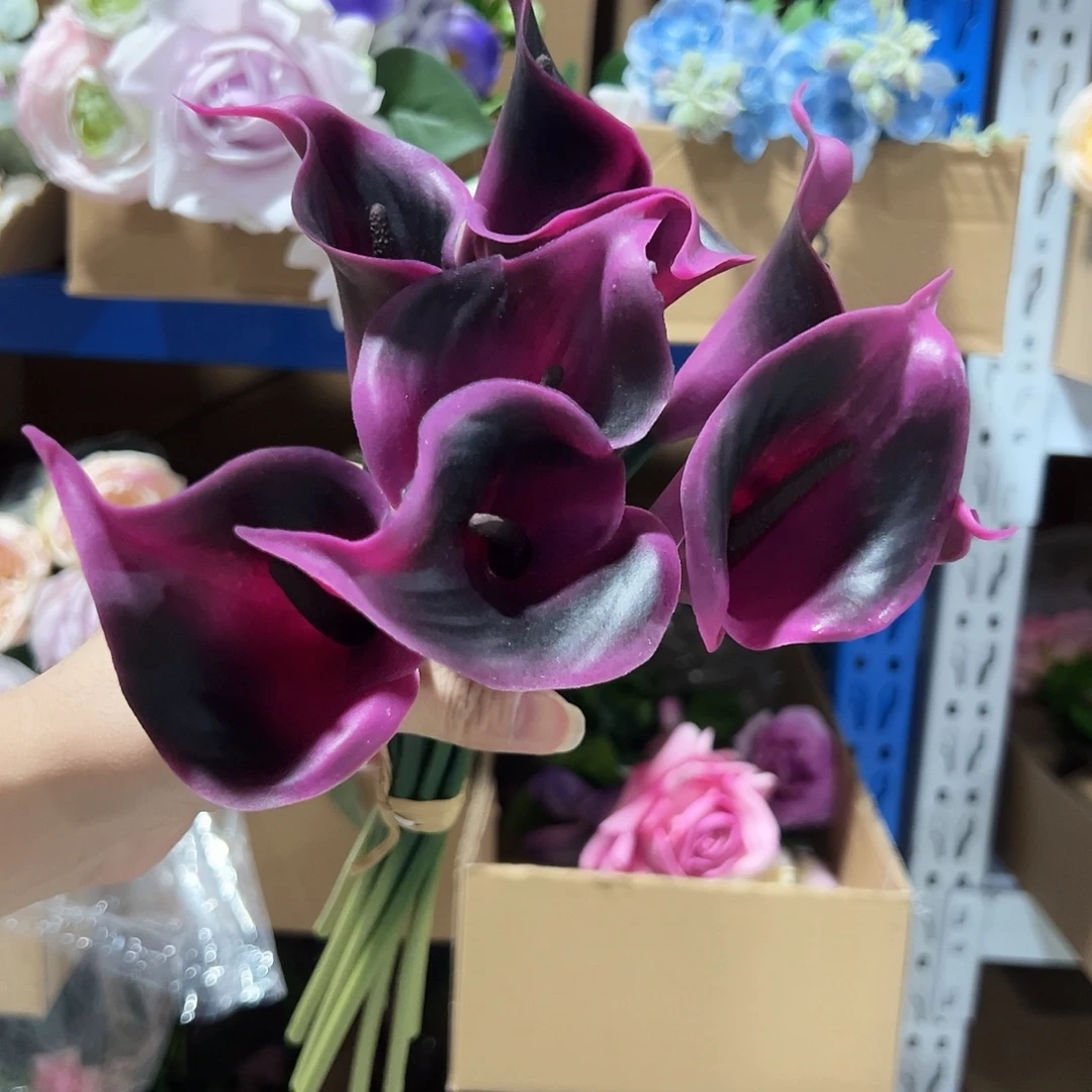 1束紫色马蹄莲花。