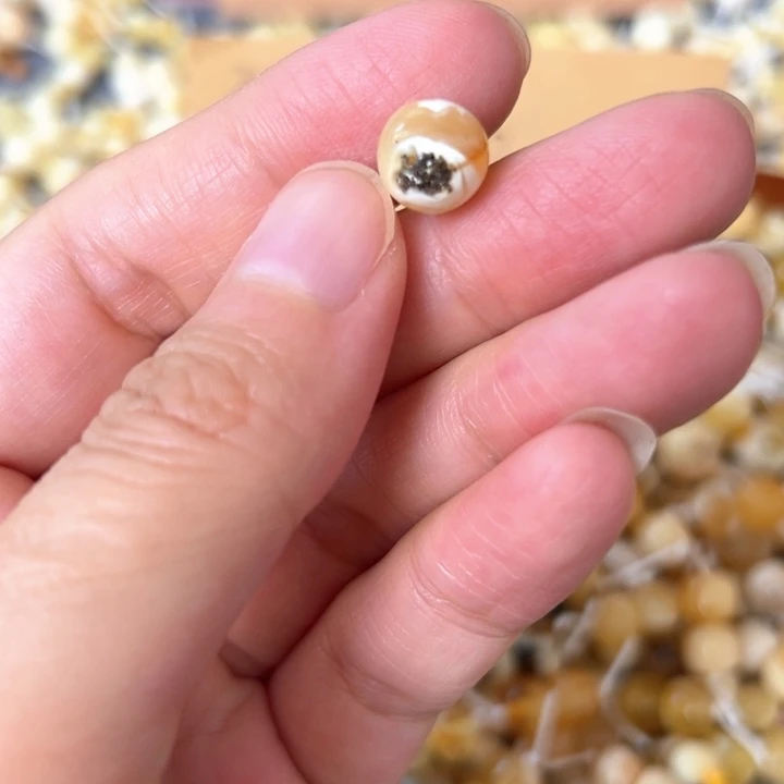 蜜蜡未镶嵌裸石9.2mm一个