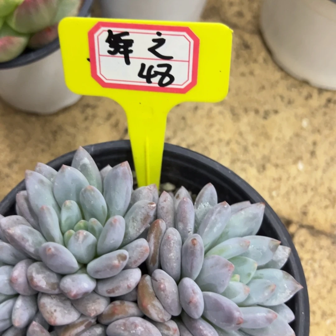 舞***韵我也会想着要给她说