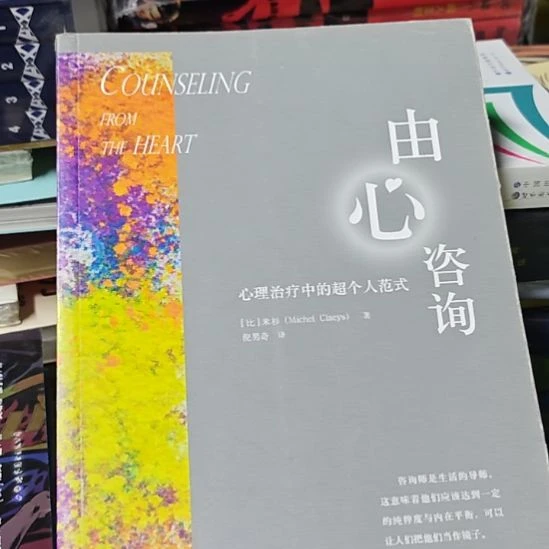 忧心咨询，心理疗愈中的超个人模范式？