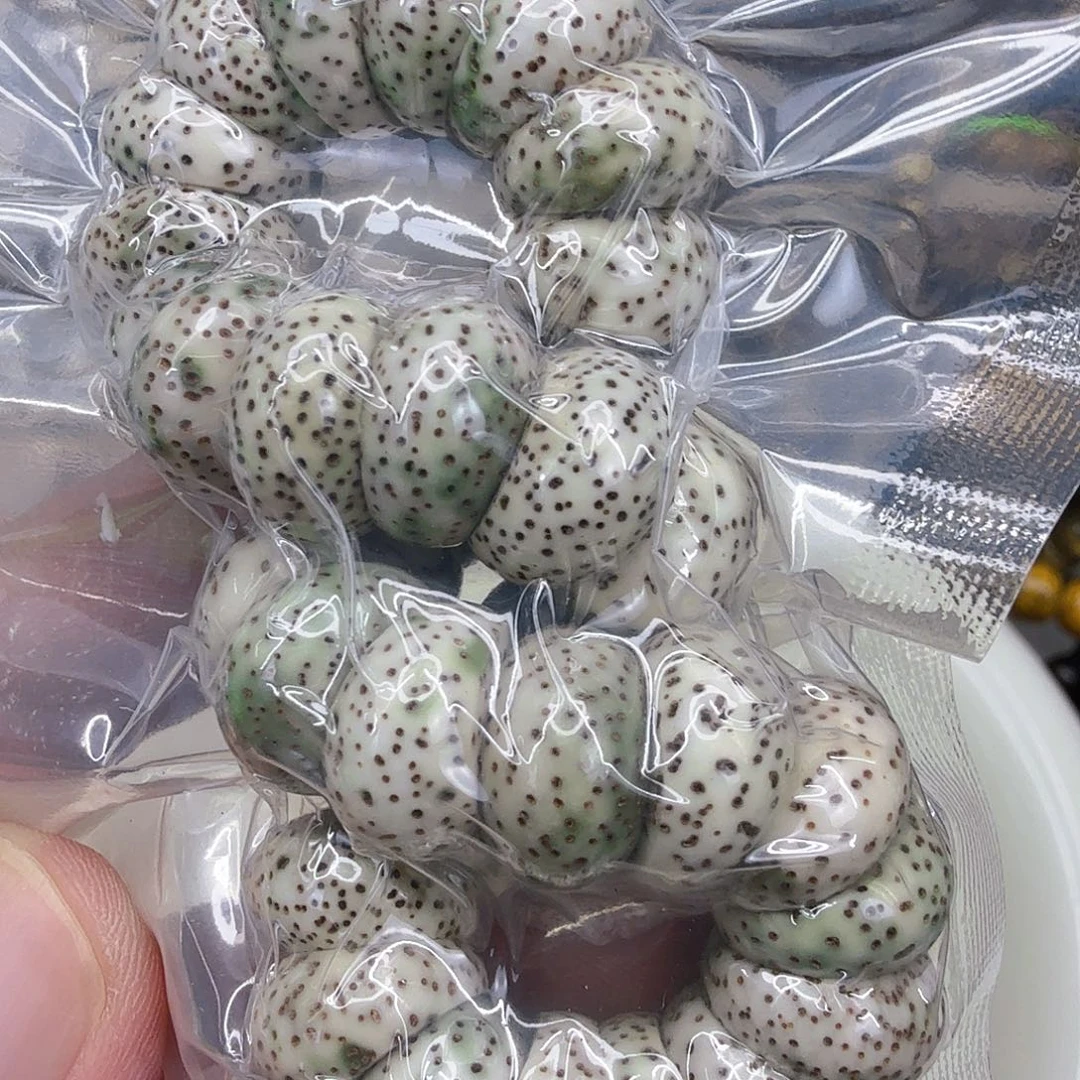 手串星月菩提22傲视星月菩提单圈大肠1.3