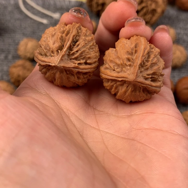小*三棱。