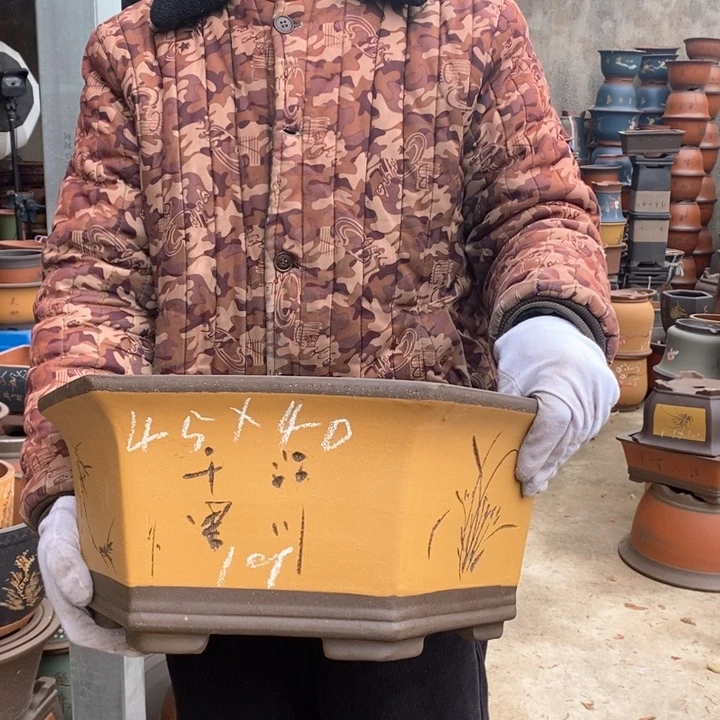 紫砂花盆盆栽花卉种植