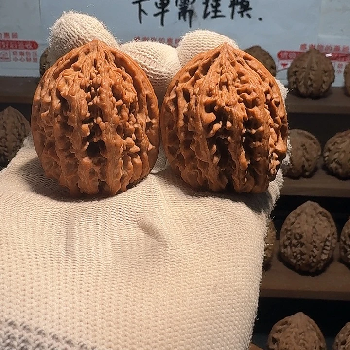 信***念秦岭野生无名鸡心