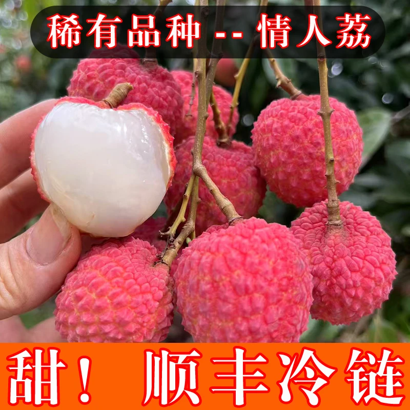 【顺丰冷链】正品广西情人荔新鲜现摘当季水果鲜荔枝整箱5/10斤装