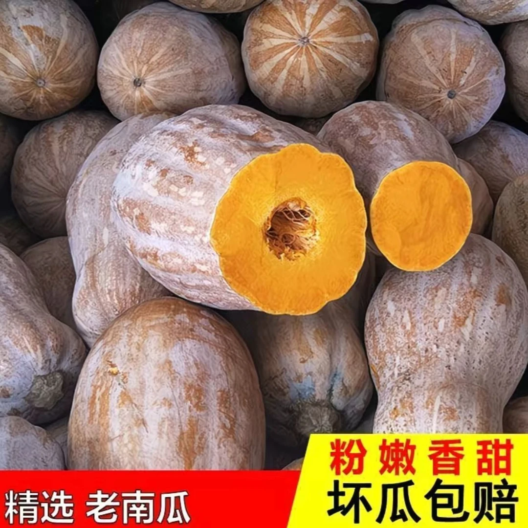【净重7斤】密本老南瓜正宗老品种云南密本南瓜农家自种甜糯辅食