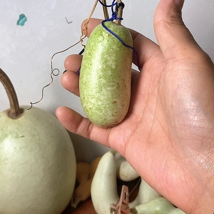 咕***噗青皮腰子葫芦手把件摆件