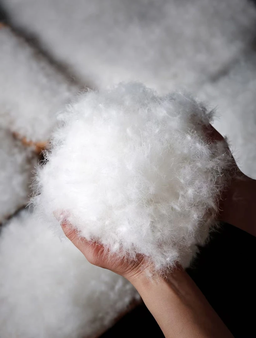 CHEN HENG   羽绒服（SBL）ZS975