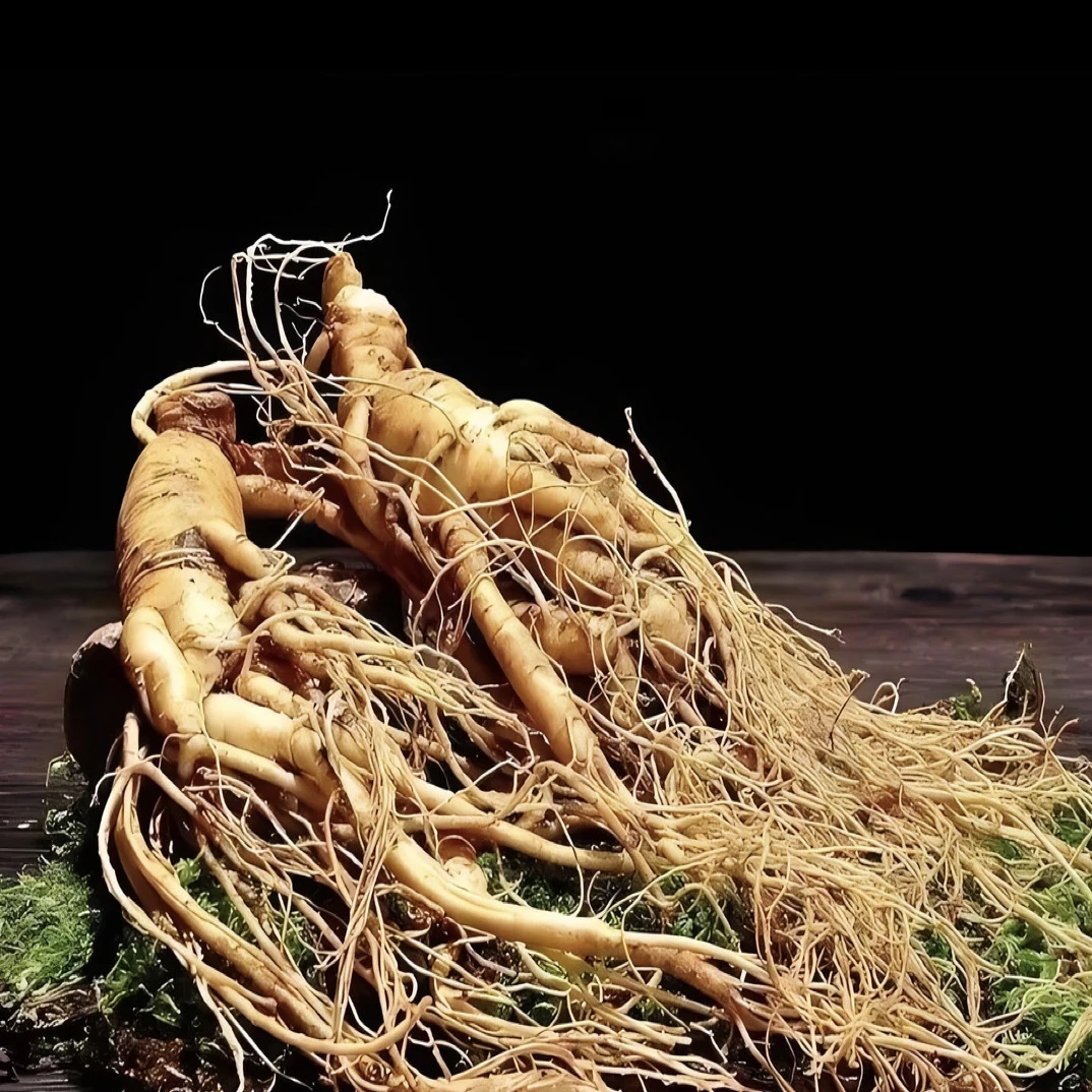 鲜人参（规格：8至10根一斤）长白山人参大颗