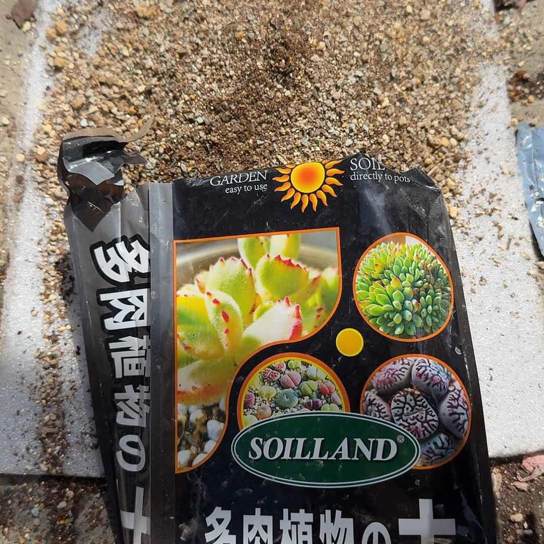 一包土多肉植物精品