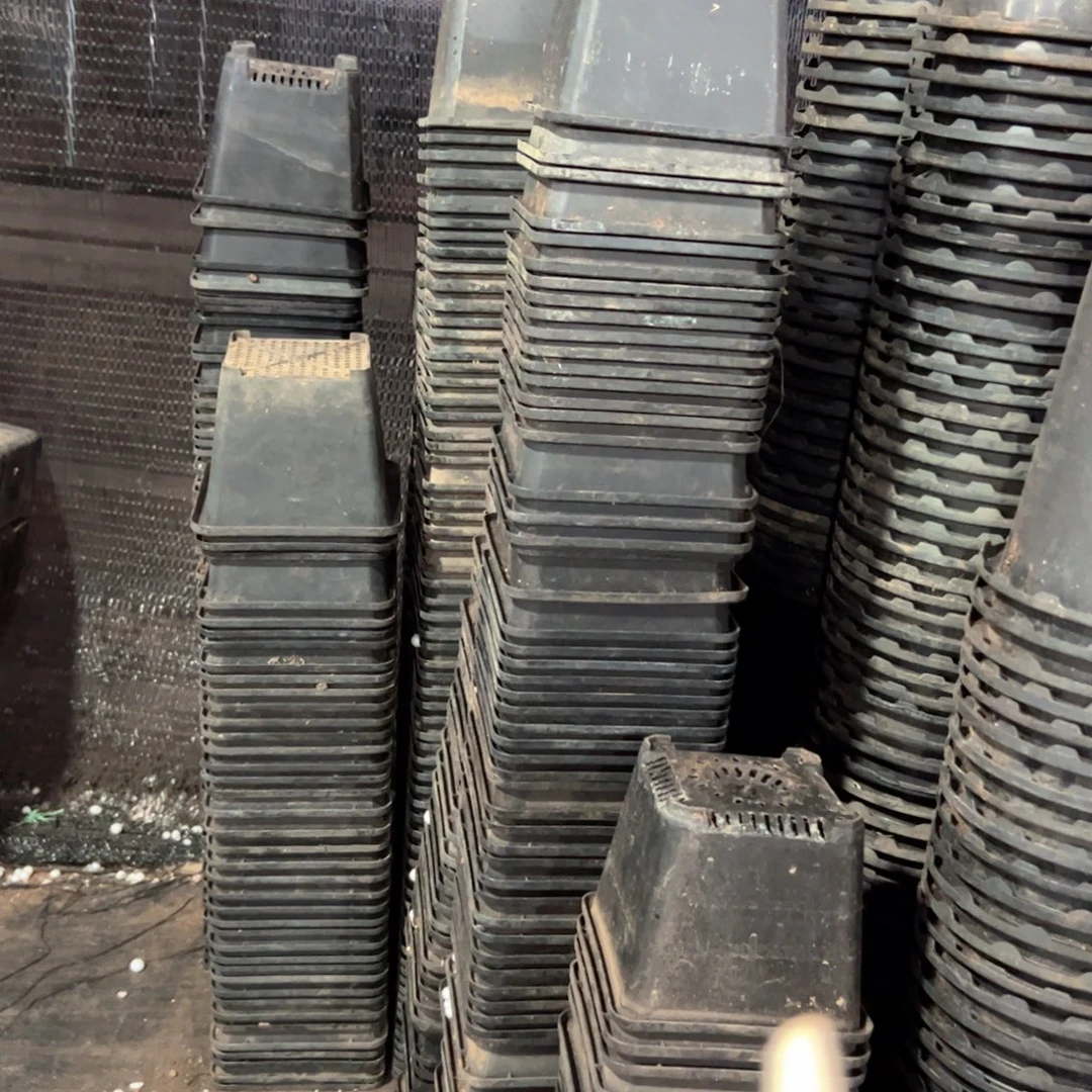 精品黑方140盆14口径11高20个