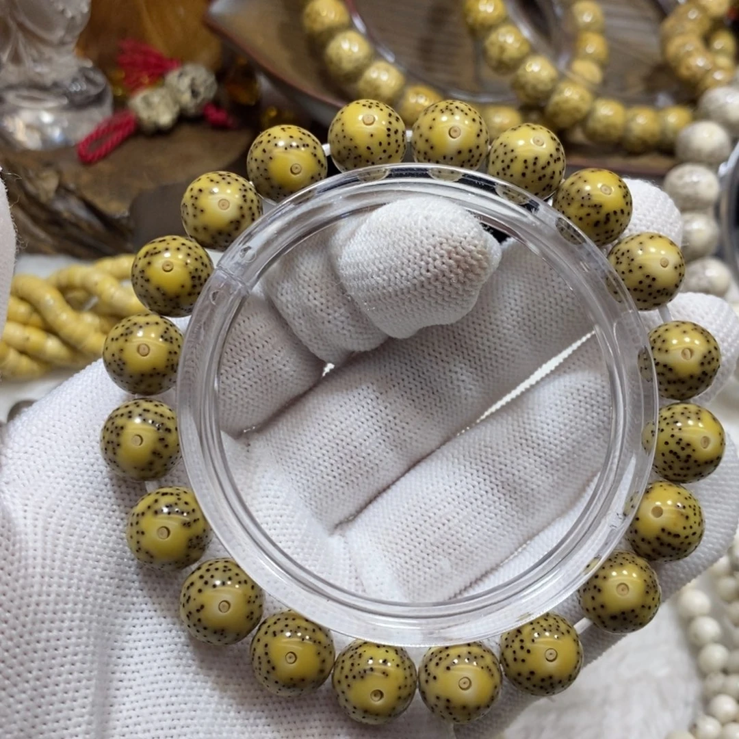 手串星月菩提黄金瞳11圆