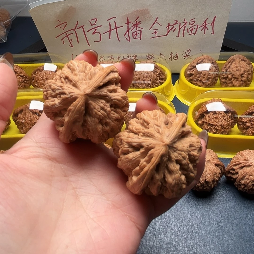 核桃44尺寸大粗筋