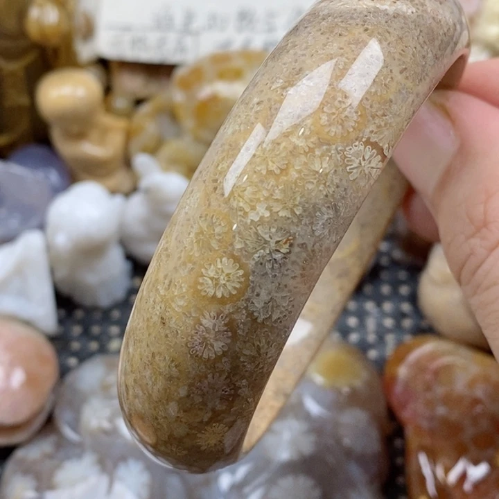 颈饰未镶嵌硅化珊瑚（珊瑚玉）59