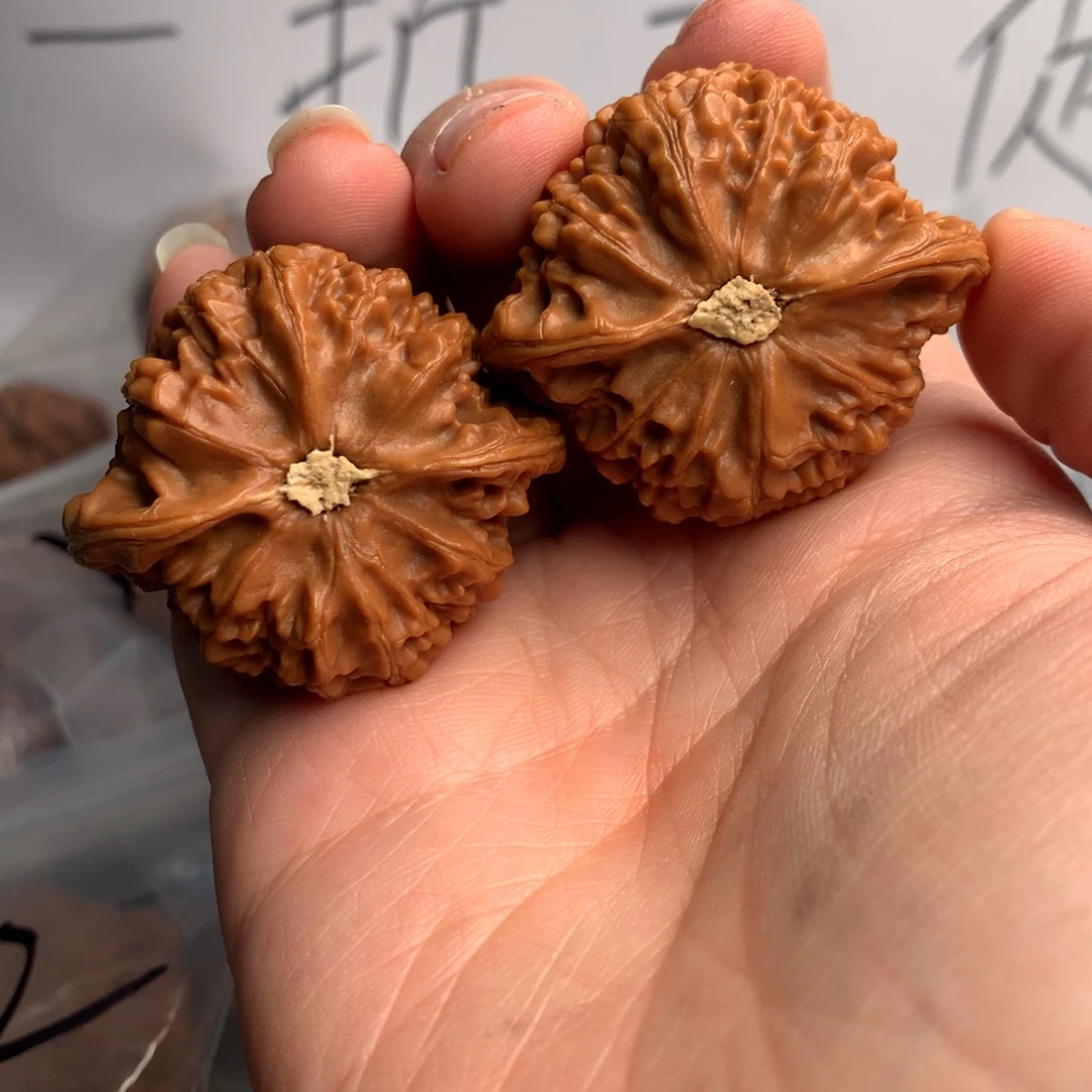 豪***宫灯421件套装的一天