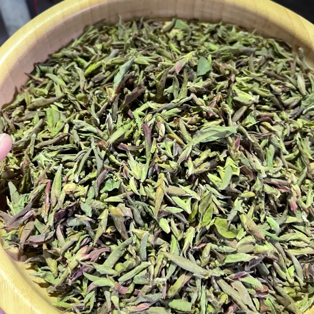 2024年紫芽孢春茶  公斤 2月16【12号】