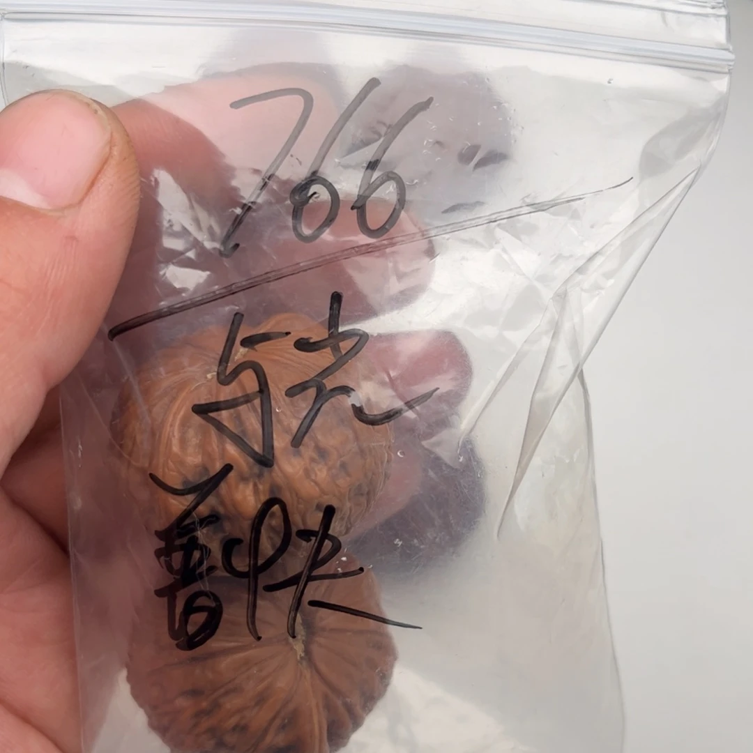 文玩核桃把件与**行39+铁锤全品无修