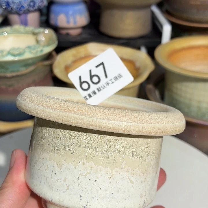 花盆花盆花盆花盆