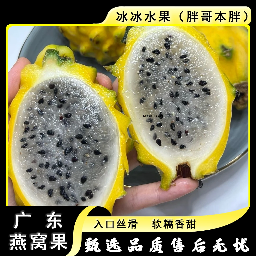 【两盒】[Y]广东燕窝果 份/两盒/共计4颗 仅限太原晋中吕梁忻州可拍