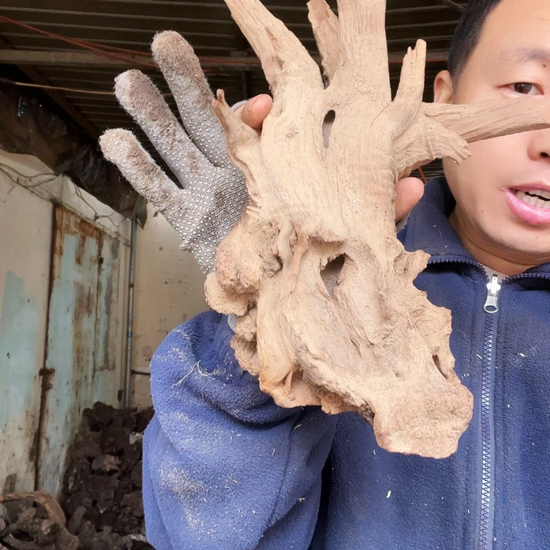 浮***云无花朵00000000310