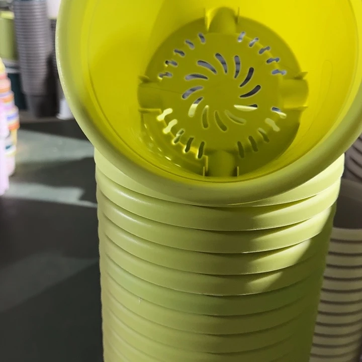 四季3号果绿无托10个特价微瑕