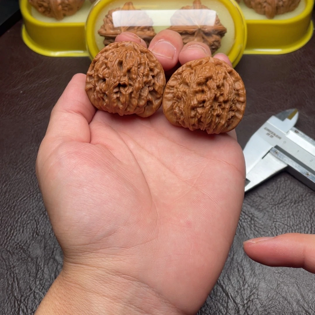 文玩核桃白狮子41尺