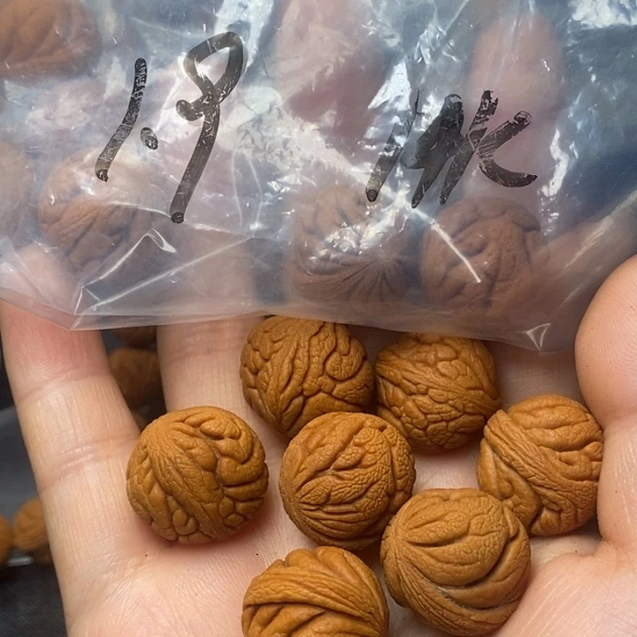 桃核吊坠秦岭山野生桃核