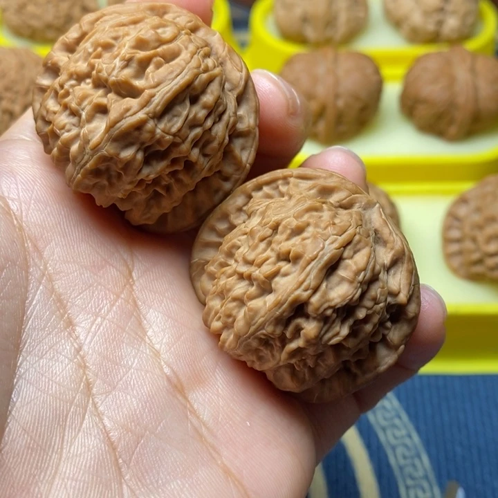 文玩核桃白狮子40