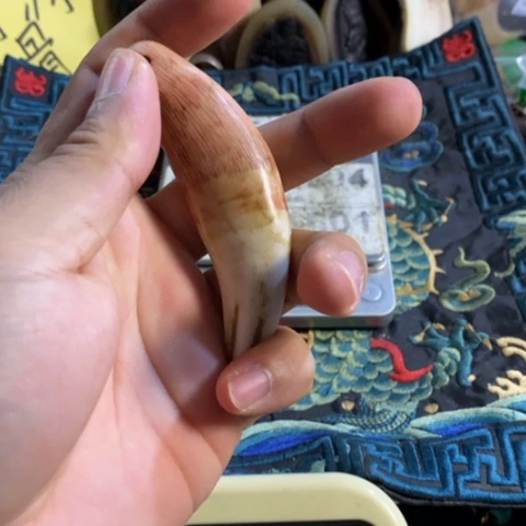 大哥专拍链接一号