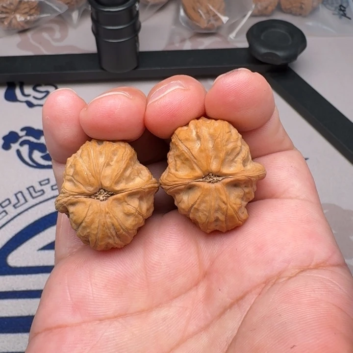 吊坠桃核野生果29+尺8