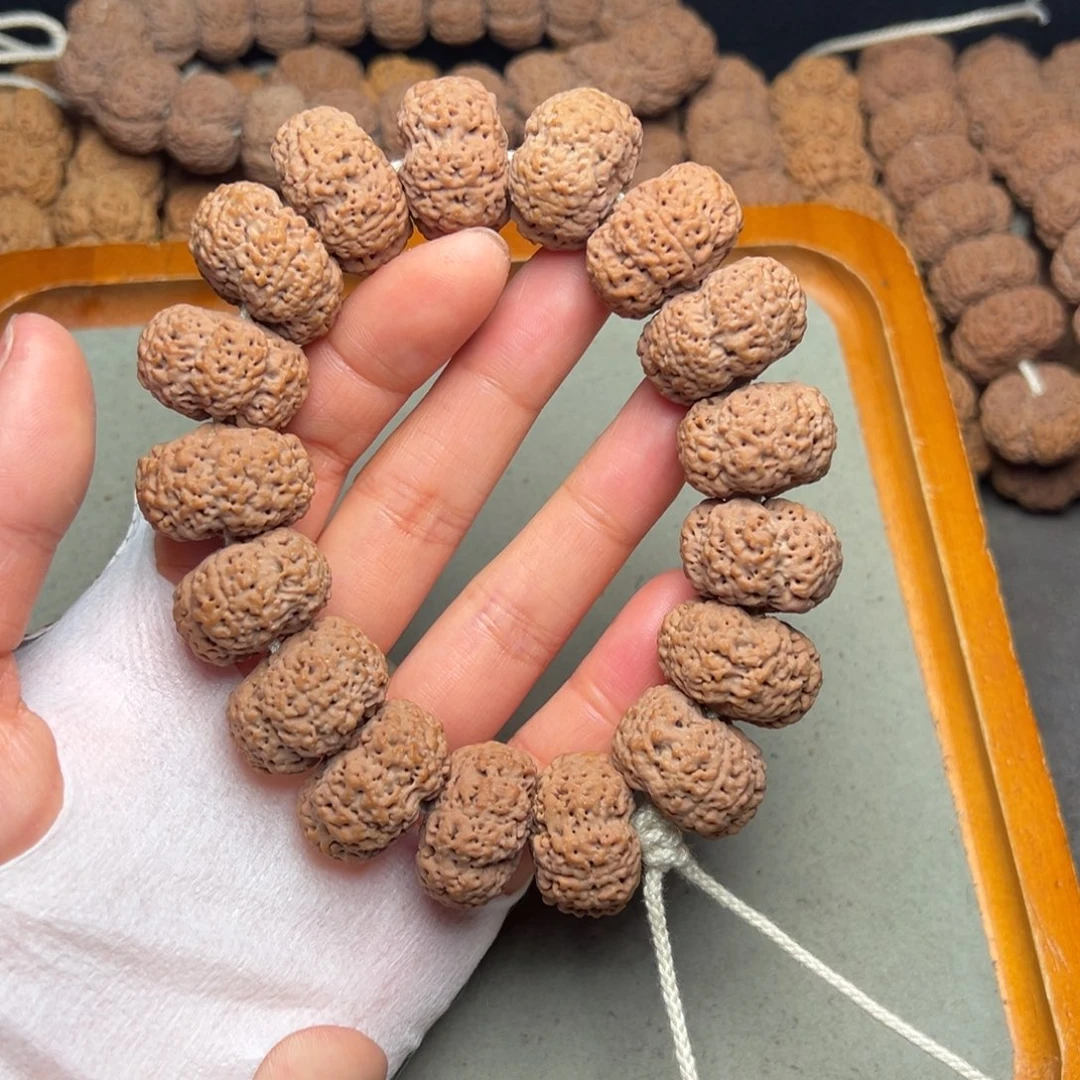 菩提3号金刚菩提菠萝蜜夹板24