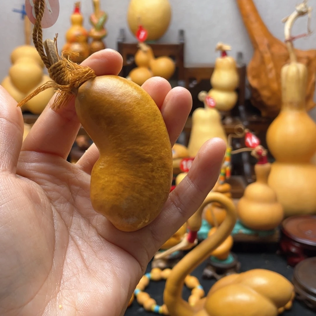 白**子大自然的秘密第十一节的秘密