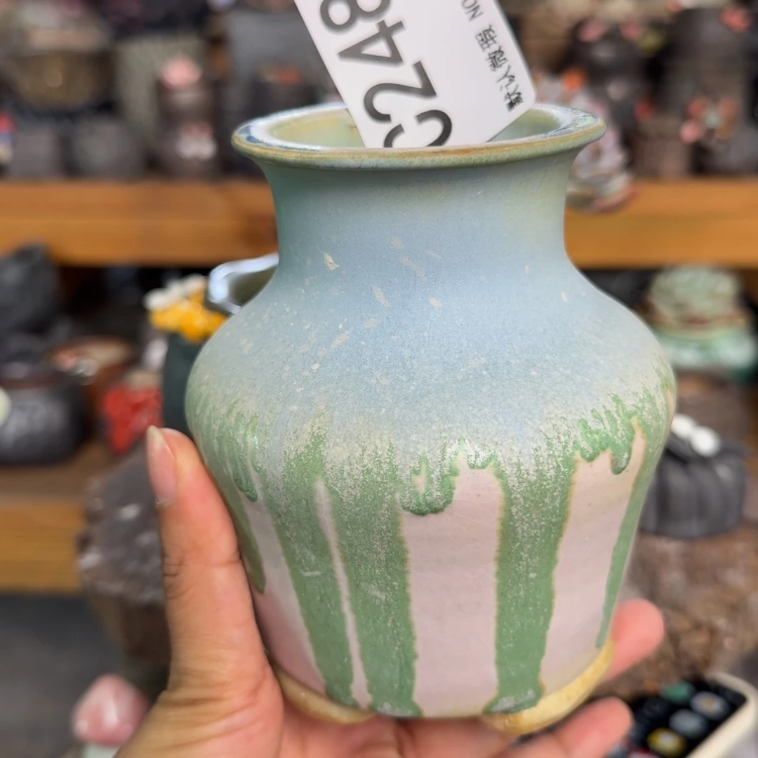 重庆小燕子欢迎大家248