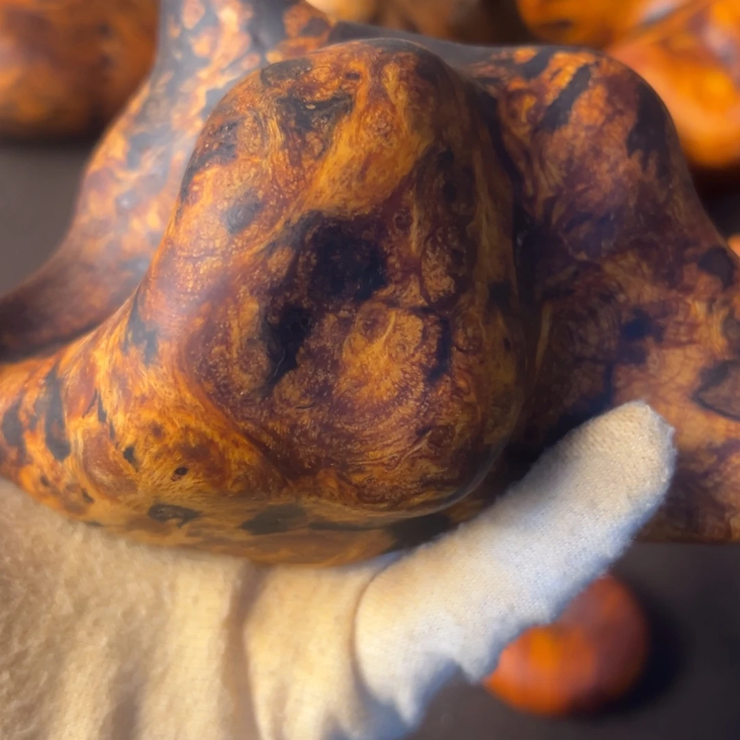 海***涛琥珀木长白山琥珀木