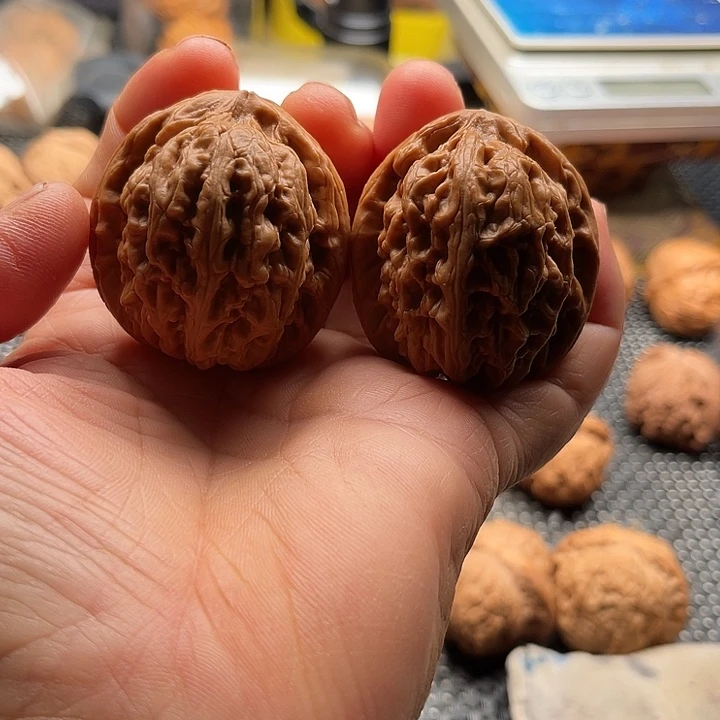 把件桃核全品红锦鲤边41肚45