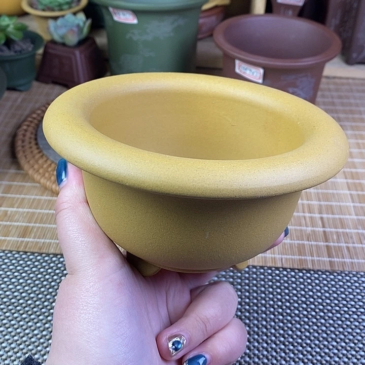 宜兴紫砂精品花盆