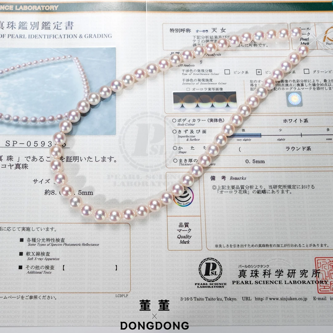 DDX800【阳阳】“天女”海水Akoya珍珠项链/真科研大证/8-8.5mm/