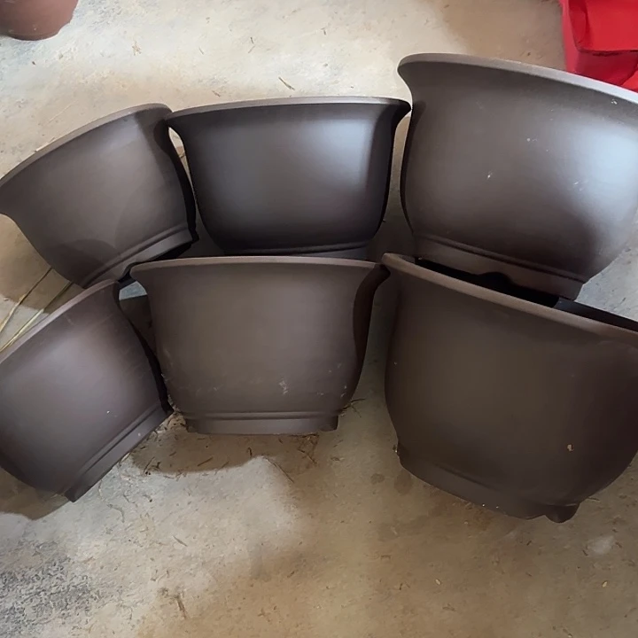 六只两套特价正品