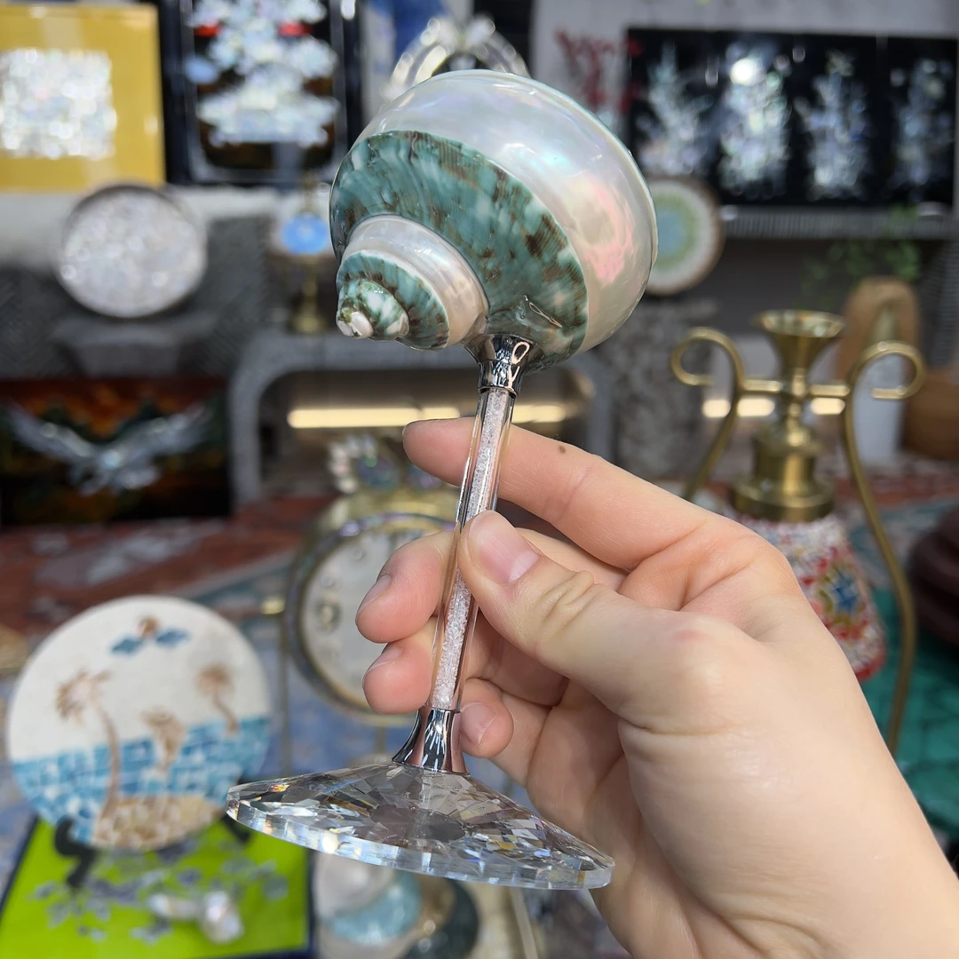 YH-【星河海螺】东南亚深海贝壳手工杯装饰品摆件1个