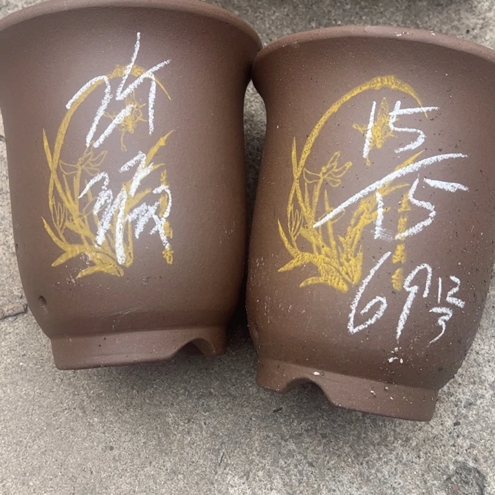 69…………………………………………亲