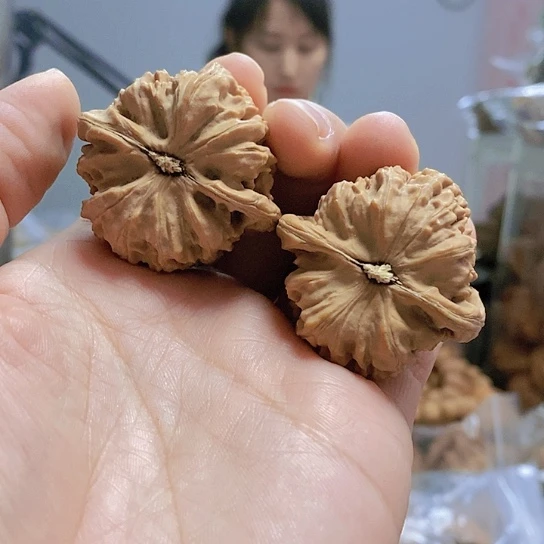 【闪购商品】把件文玩核桃39白狮子老树