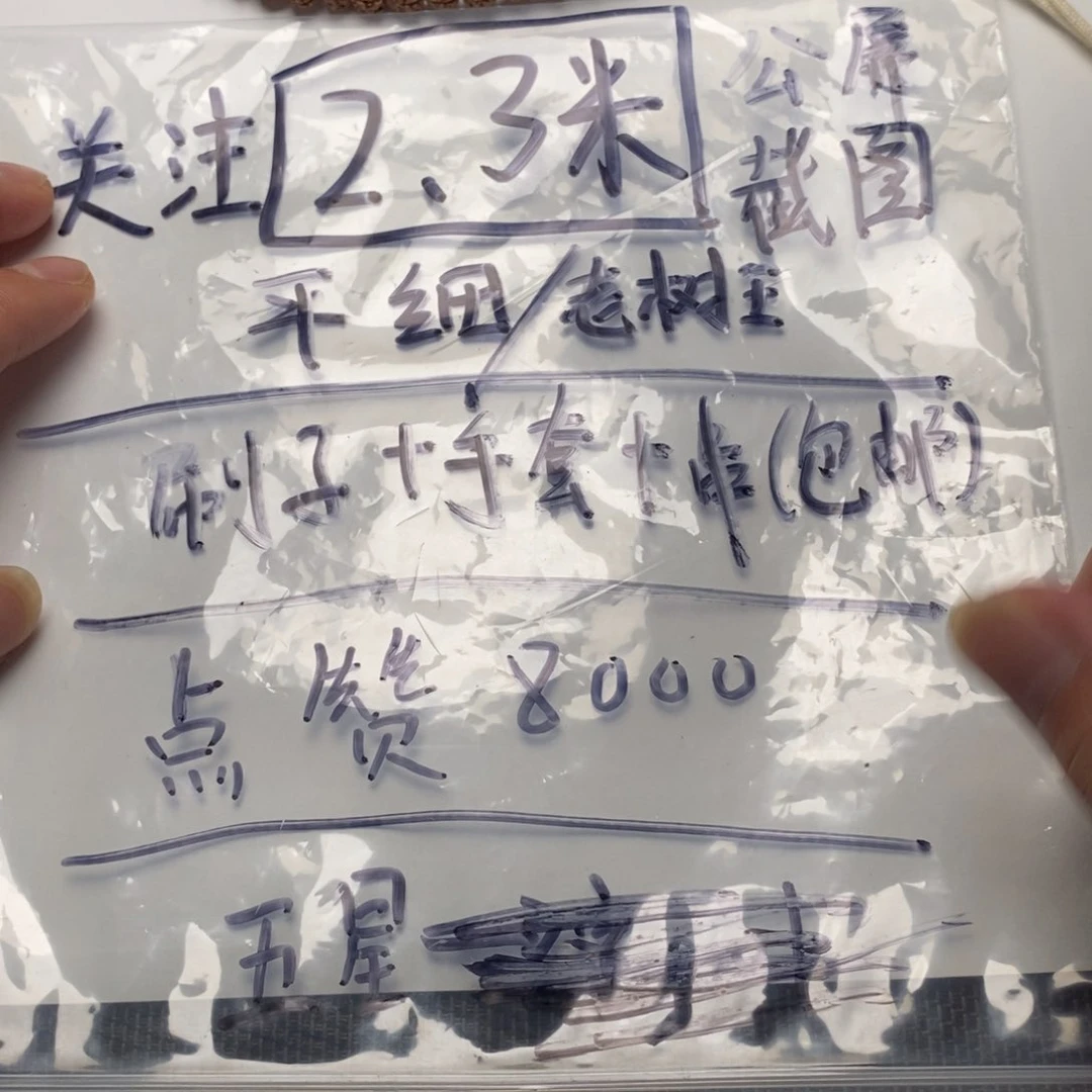 朱***龙金刚菩提吊坠平细