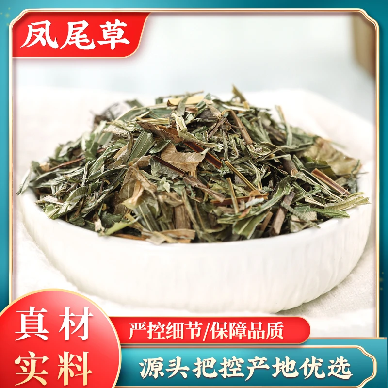 凤尾草中药材鸡脚草凤尾蕨中草药晒干凤凰草金鸡尾井边凤尾五指