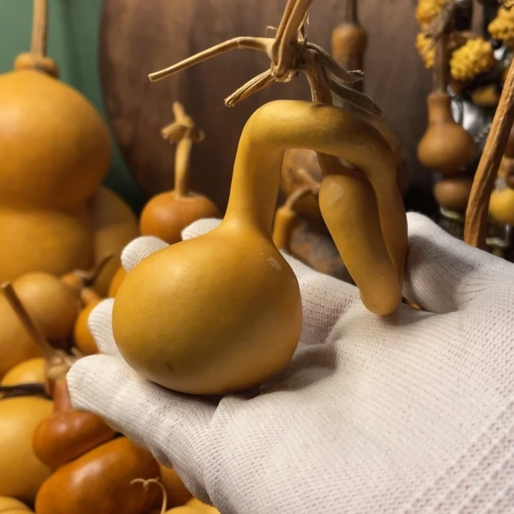 理性消费看好下单