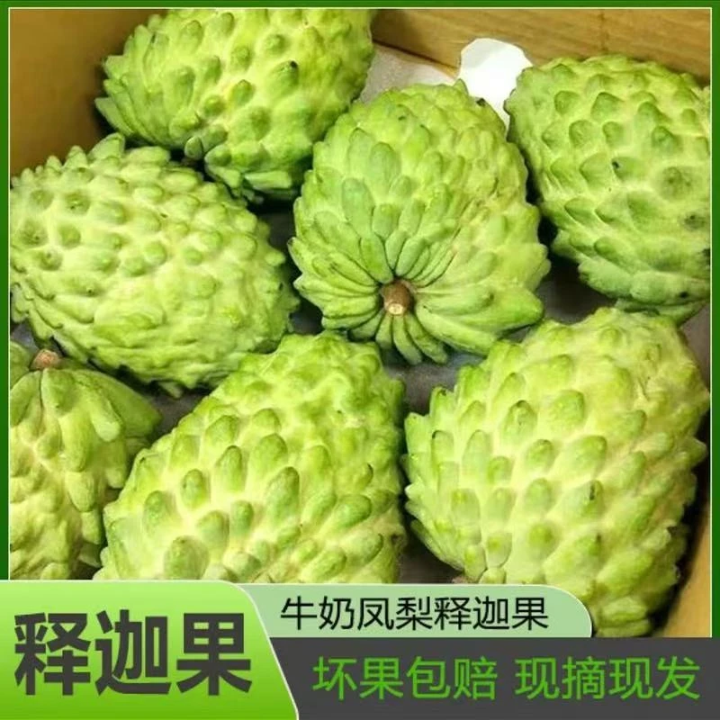 云南凤梨释迦果【空运到家】当季新鲜采摘应季水果丑果歪果佛头果