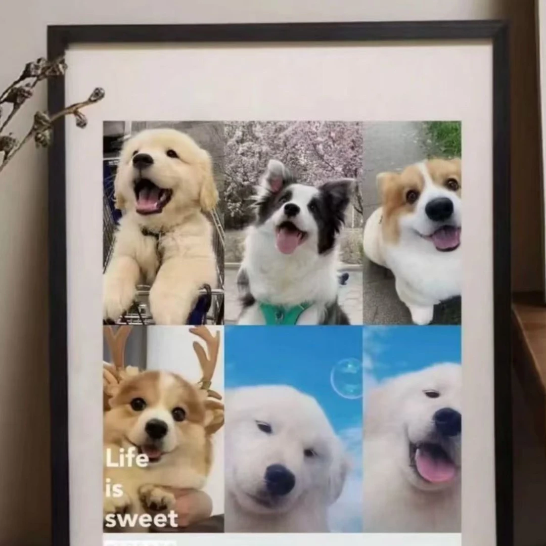 家庭宠物陪伴纪念相册狗狗打印放大宠物相册