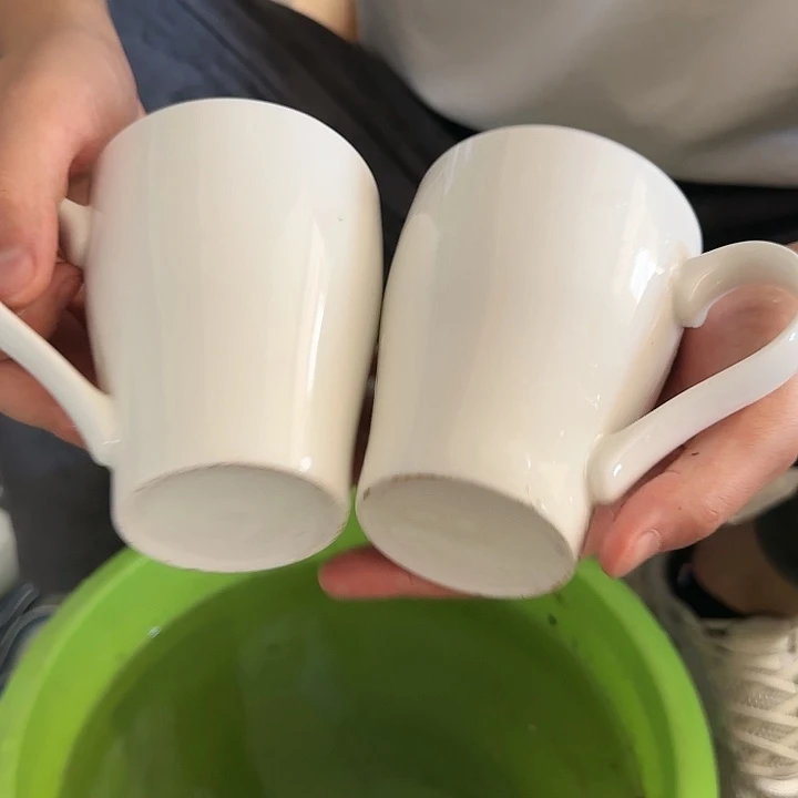 碟景德镇陶瓷艺术品