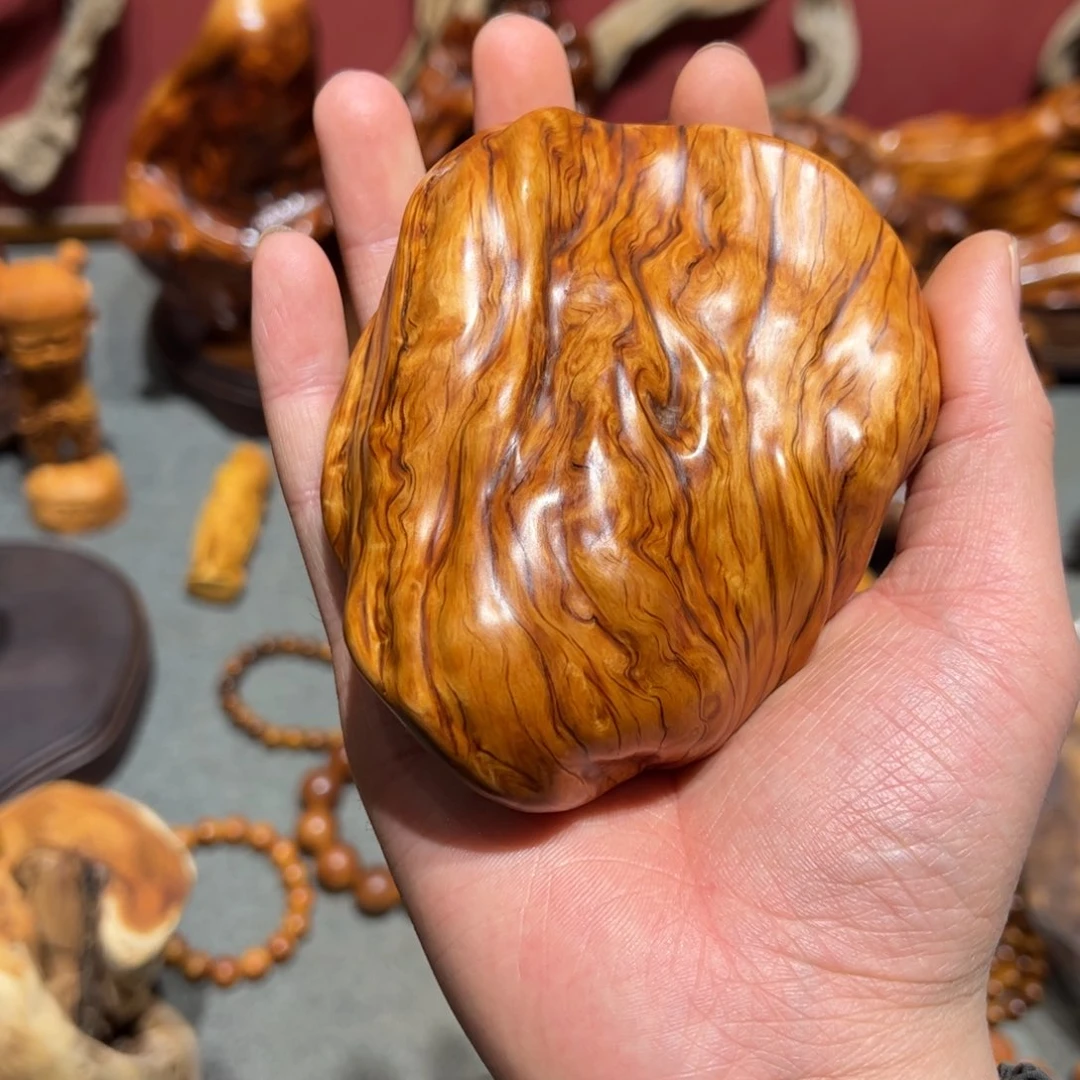 柏木（崖柏）太行崖柏陈化太行