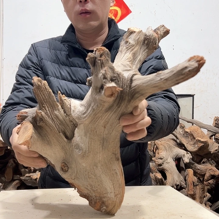 柏木张*忠我们的生活也是如此